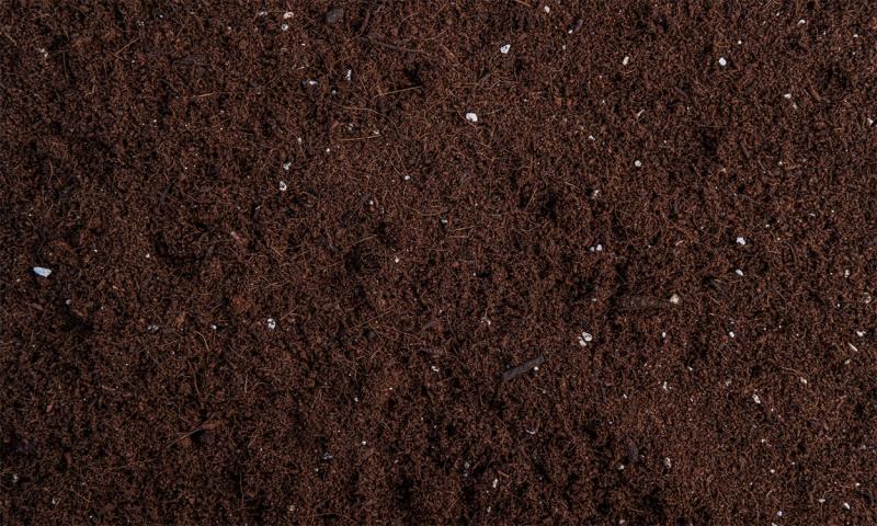 Organic, well-draining potting mix.