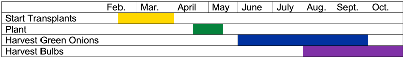 Timeline for starting transplants, planting and harvesting onions. For an in-depth description of this timeline, please call SDSU Extension at 605-688-4792.