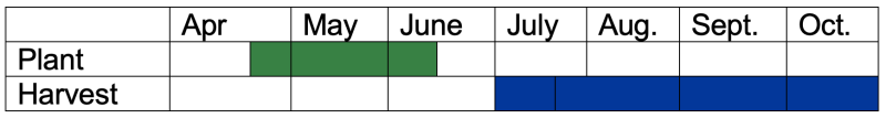 Potatoes can be planted from the middle-end of may through the beginning-middle of June. They can be harvested from July through October.