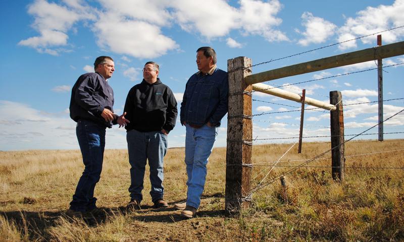 Three producers discussing a grazing plan in a pasture.