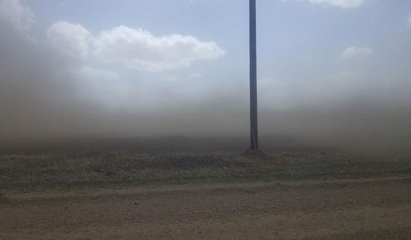 Wind carrying dust and dirt along the edge of a tilled field.