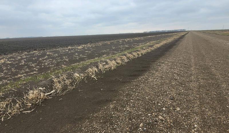 Tilled field with signs of erosion along the field edge.