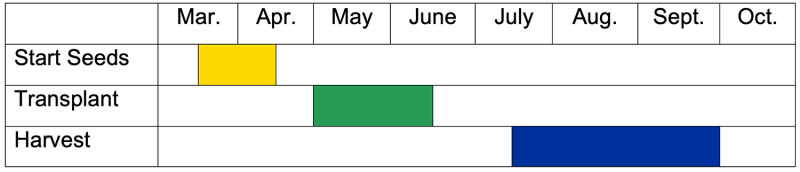 Start tomato seeds indoors in mid-march. Transplant seedlings at the beginning of may into mid-June. Harvest fruit from mid-July through the end of September.