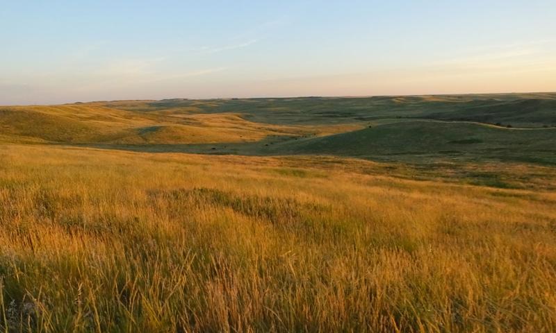 Vast, rolling rangeland with spring plant growth.