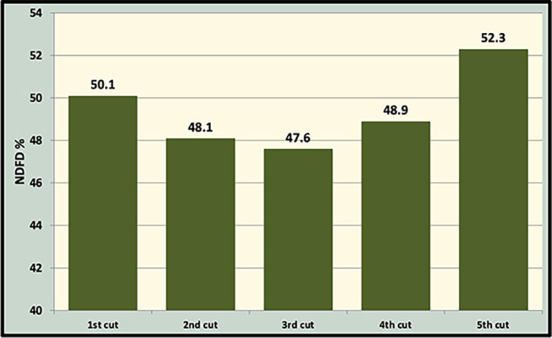 Bar graph showing NDFD by cutting in the Wisconsin Yield and Persistence Project Trials. For assistance reading this graphic and data set, please call SDSU Extension at 605-688-4792.