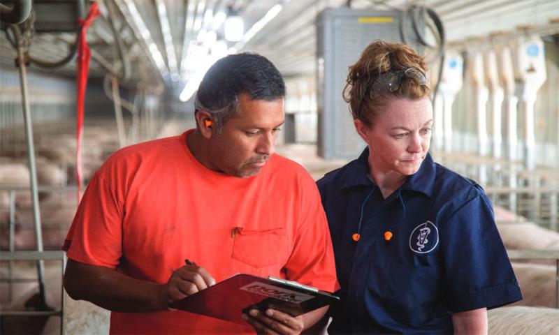 Pork producer and veterinarian inspecting a swine facility.