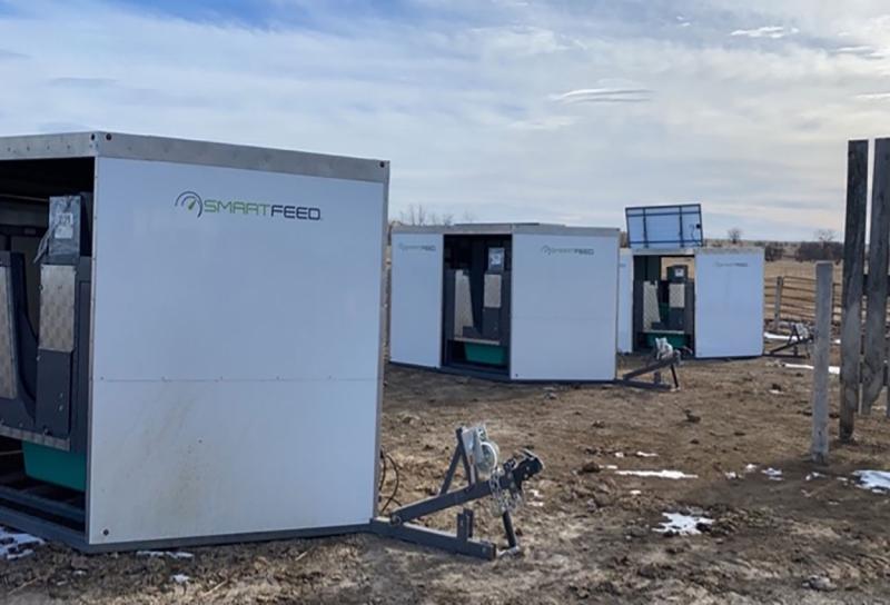 Three white SmartFeed Pro tailers lined up in the feedlot at the Cottonwood Field Station.