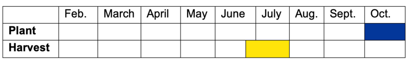 Timeline graphic. Garlic should be planted throughout October and harvested the following year in mid-June through the end of July. For assistance reading this graphic, please call SDSU Extension at 605-688-4792.