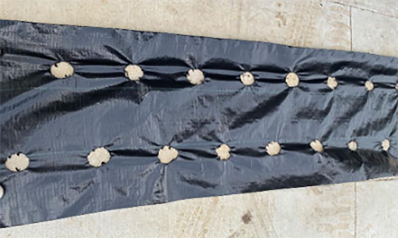 Black landscape fabric with rows of holes for transplants.
