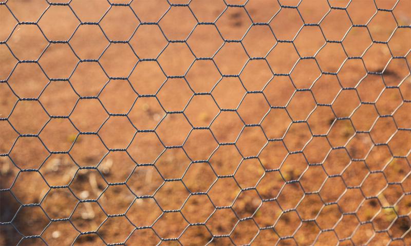 Chicken wire over garden soil.