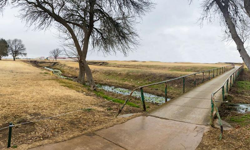 Degraded riparian area adjacent to pasture.