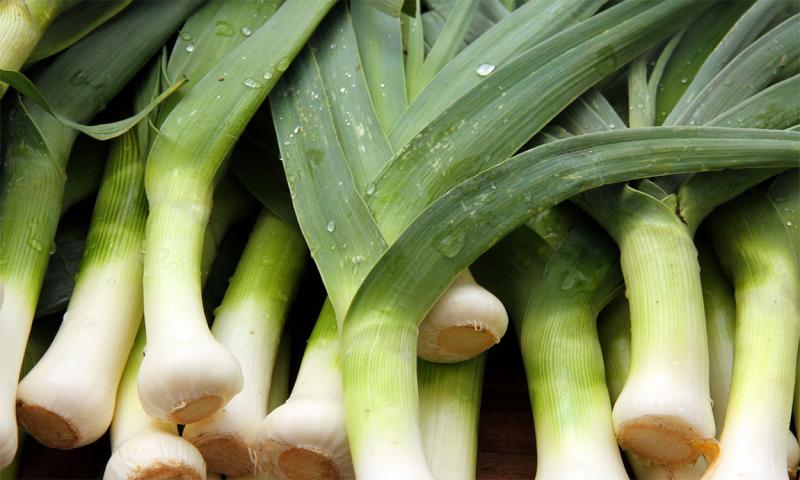 Harvested leeks.