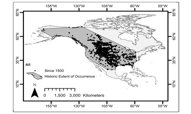 Plot map of bison observations throughout North America. For assistance reading this graphic and data set, please call SDSU Extension at 605-688-6729.