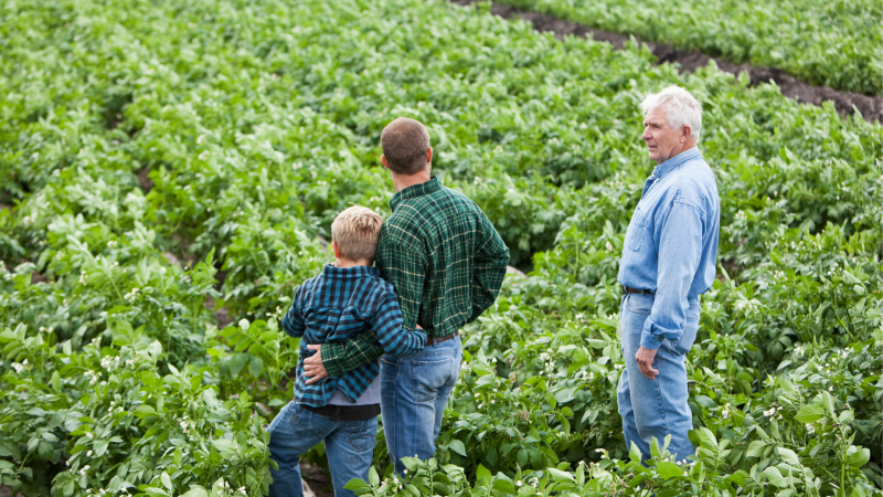 Three generations of a family looking out at a field