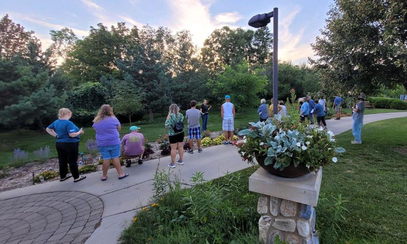 Several visitors examining plants at the McCrory Gardens perennial trial gardens.