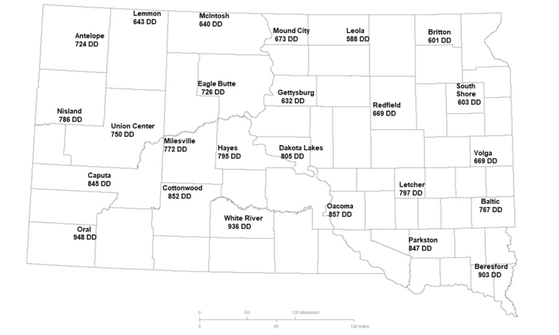 Map showing the current degree day accumulations of common stalk borers for several South Dakota locations. For a detailed description of this graphic and data set, please call SDSU Extension at 605-688-6729.