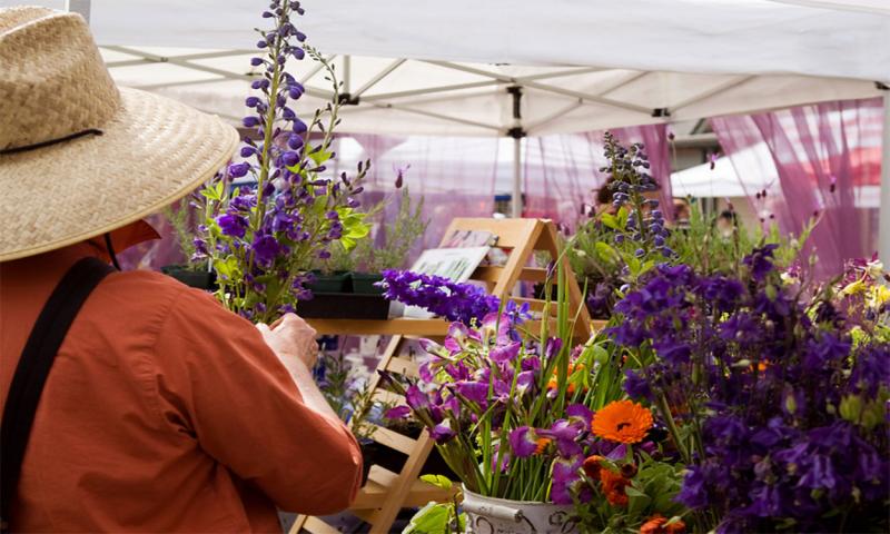 Patron browsing cut flower selection at outdoor farmers market.