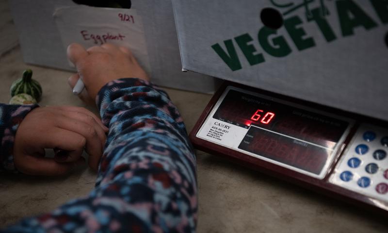 Box of vegetables being weighed on a scale.
