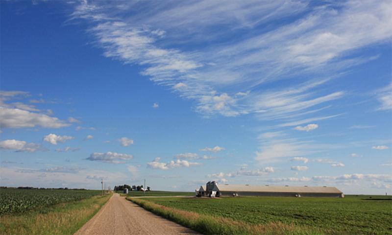 Swine barn along an open country road.