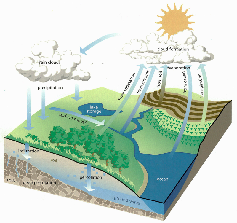 Diagram illustrating the hydrologic cycle. For a detailed description of this graphic, please call SDSU Extension at 605-688-6729.