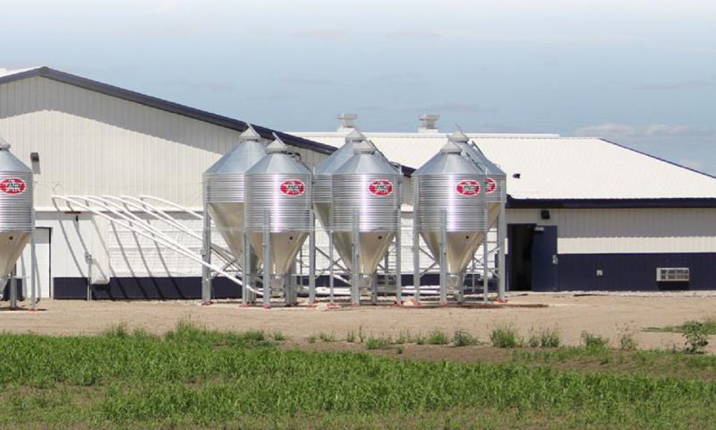 SDSU off-site wean-to-finish production barn.