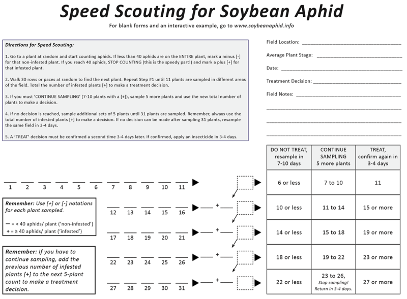 Speed scouting worksheet for soybean aphid management.