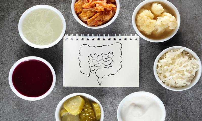 Drawing of digestive system surrounded by a variety of healthy foods.