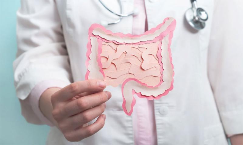 Doctor holding a paper diagram of the human digestive system.