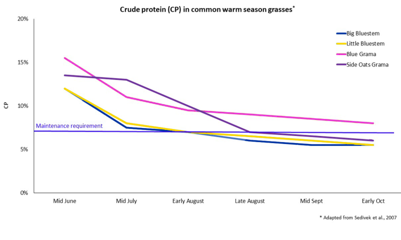 Line graph showing crude protein levels in common grasses from mid June to early October. For a detailed description of this graphic and data set, please call SDSU Extension at 605-688-6729.