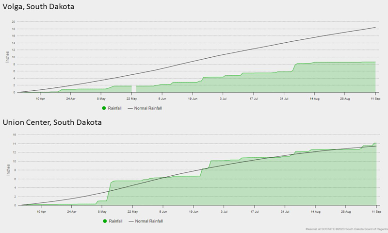 Two graphs showing accumulated precipitation for weather stations in Volga and Union Center South Dakota in 2023. Volga had below-average rainfall, while Union Center had average rainfall. For a detailed description of this graphic and data set, please call SDSU Extension at 605-688-6729.