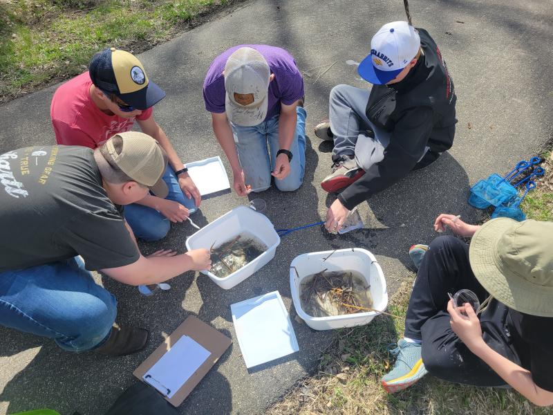 Group of youth looking at a tub with sticks and water in it