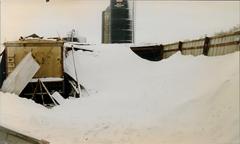 Roof of an agricultural structure collapsed due to snow load.