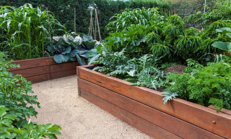 Two well-kept raised beds along a garden path.