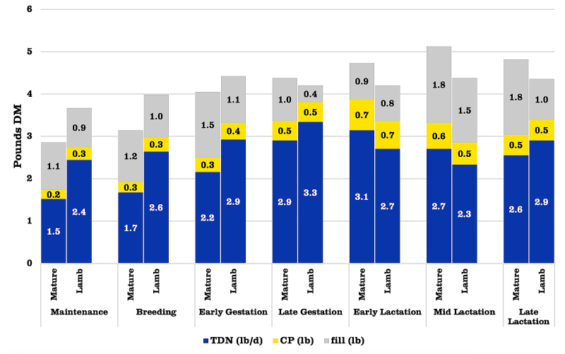 Bar graph showing pounds of dry matter needed for mature and ewe lambs at different growth stages. or a detailed description of this graphic and data set, please call SDSU Extension at 605-688-6729.