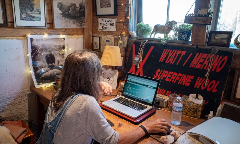 Sheep producer viewing information on a laptop computer.