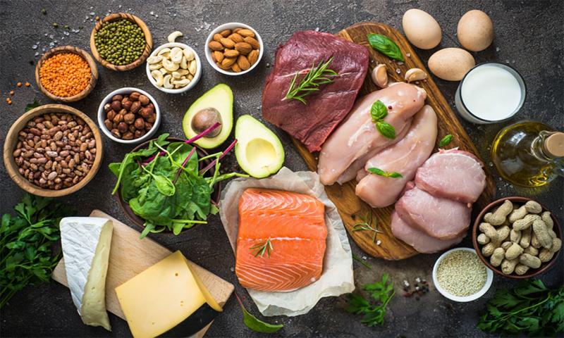 Assortment of healthy animal and plant-based protein food sources.