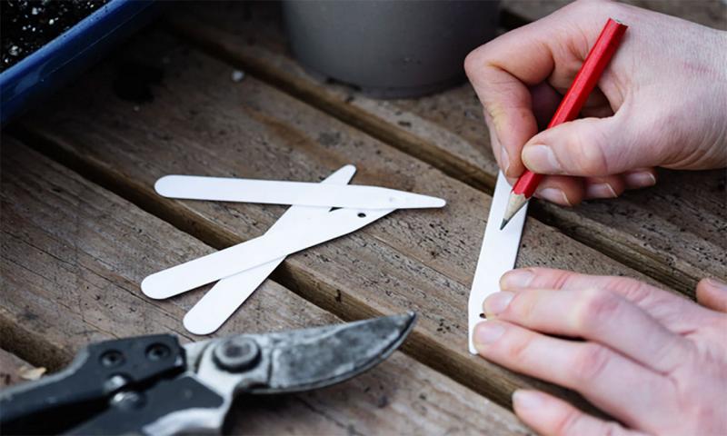 Hands filling out plant labels on a work bench before sowing seedlings.