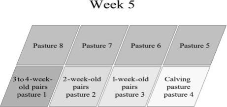 Diagram explaining pasture management during