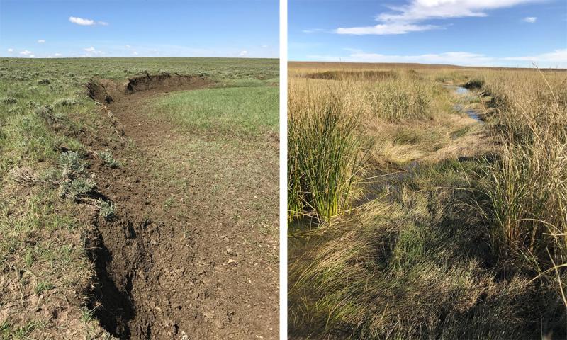 Two headwater prairie streams in Butte County.