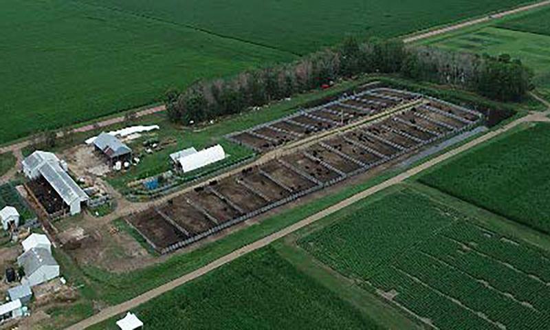 Aerial view of cattle facilities at the SDSU Southeast Research Farm.