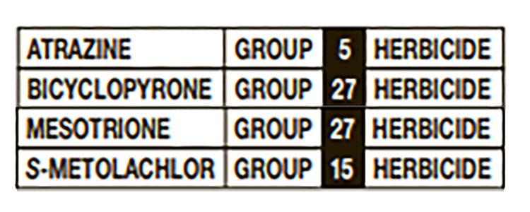 A small table of four different chemicals with their associated group number.