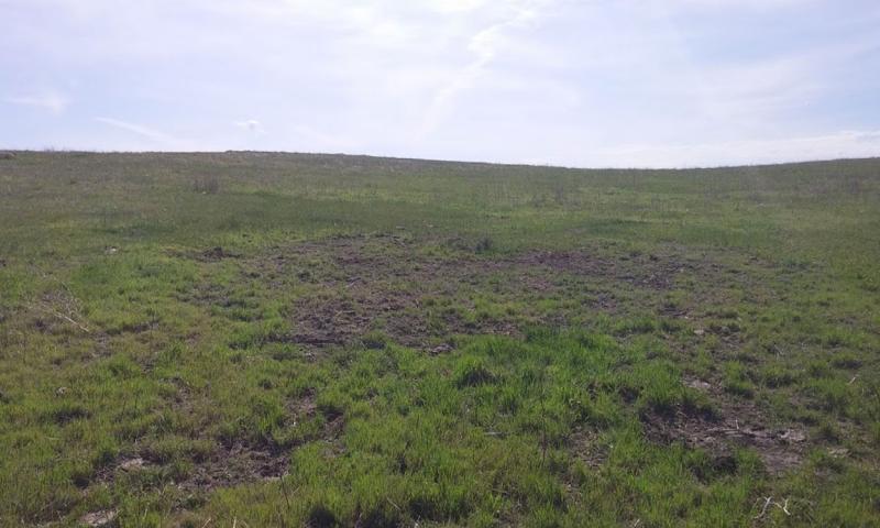 A green pasture with patches of bare soil under a blue sky containing several wispy white clouds.