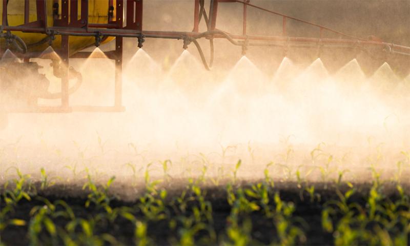 Tractor applying postemergence herbicide to a corn field early in the growing season.