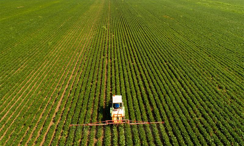 Tractor with high-clearance sprayer in a soybean field.