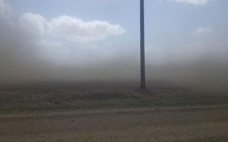 Wind carrying dust and dirt along the edge of a tilled field.