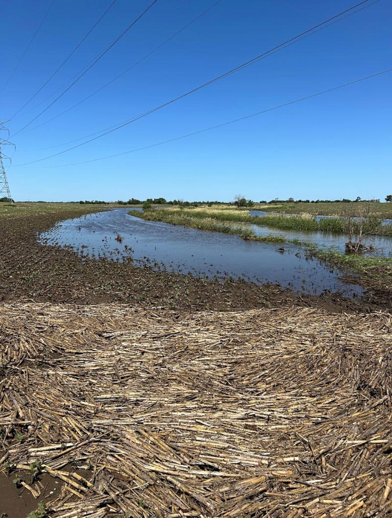 Flooded soybean field with tan, corn residue throughout.