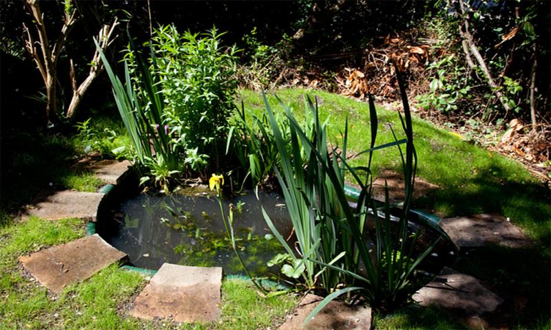 Small pond in a backyard garden.