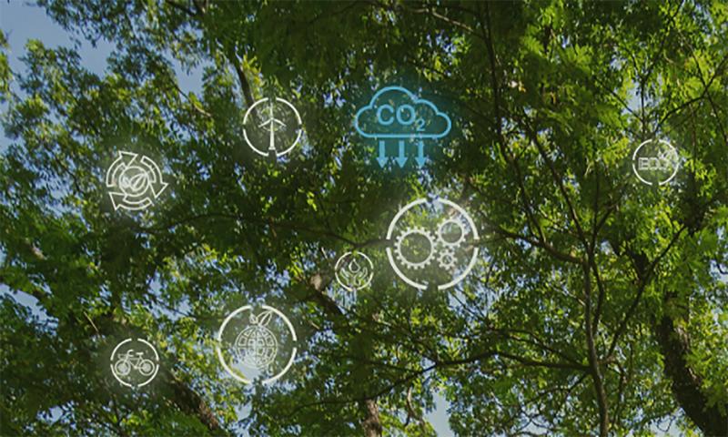 A tree and blue sky overlayed with various climate-smart icons.