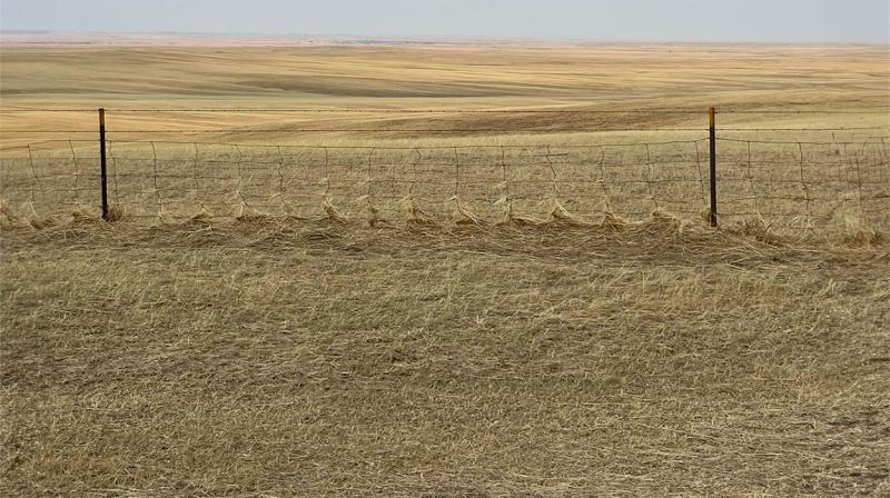 Fence line along a storm-damaged pasture in Butte County, South Dakota.