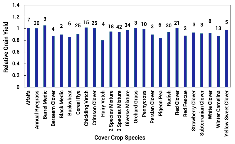 Bar graph showing the average relative corn grain yield compared to the weeded no cover crop control for different cover crop species that were inter-seeded into corn. For a detailed description, please call SDSU Extension at 605-688-4792.